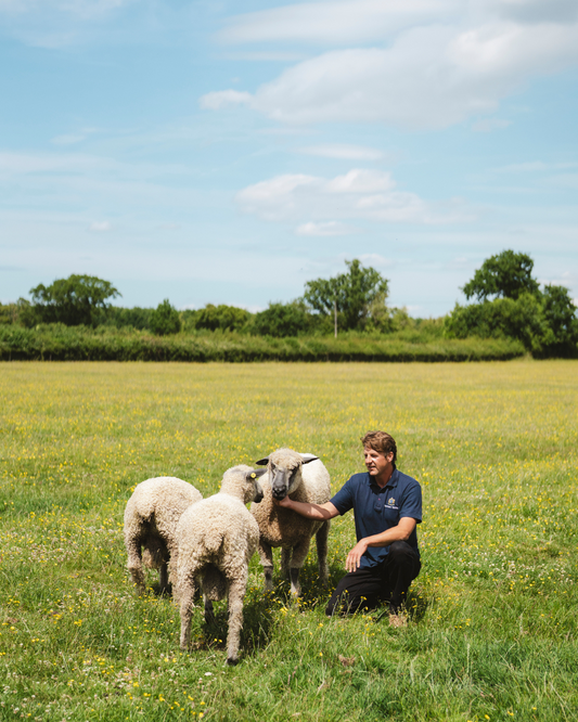 Meet the maker: Harrison Spinks