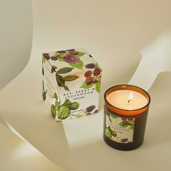 A lit amber glass candle next to its illustrated product box on a warm cream surface. The label reads Bay, Berry & Cedarwood and the brand appears to be Littonia.