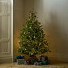 Blue Noel Christmas Tree Set, 6ft Pre-Lit Tree