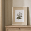 A framed botanical art print of a plant with green leaves and small brown flowers, displayed on a light wood cabinet against a beige wall.