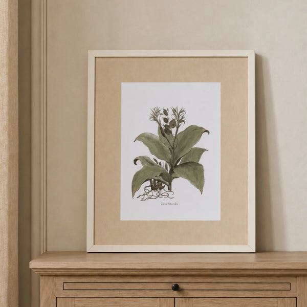 A framed botanical art print of a green plant with leaves and small flowers, displayed on a light wood console table against a beige wall.