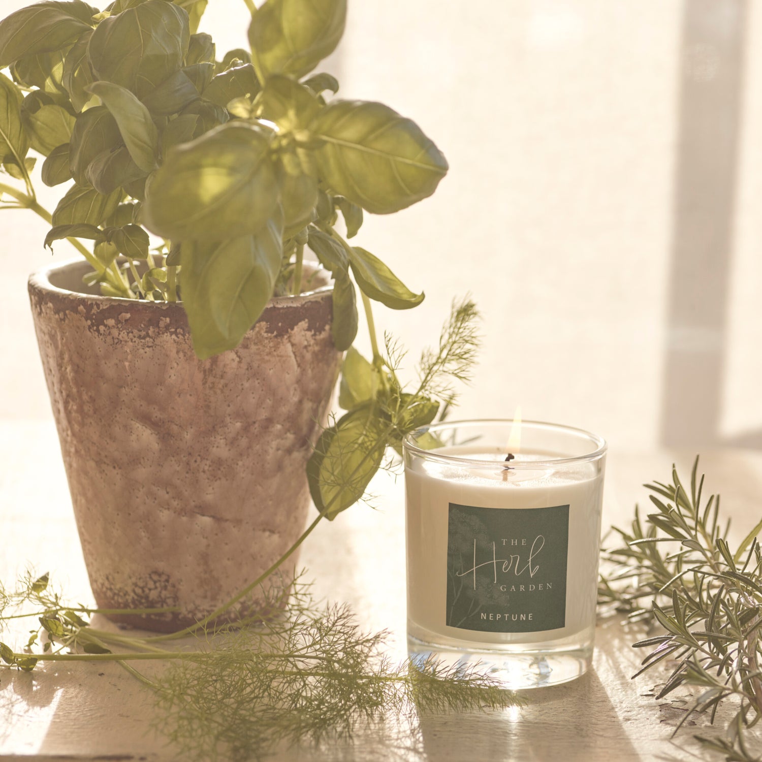 Neptune Candles The Herb Garden Candle