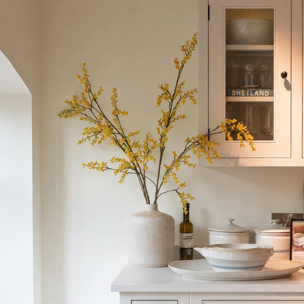 Mimosa Spray, Yellow