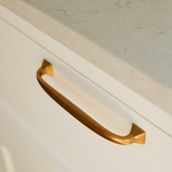 Neptune Handles & Hardware Warwick Large Handle, Set of 2