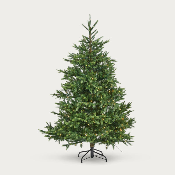 Neptune Seasonal_Christmas_Christmas trees default Windsor 6ft Pre-lit Christmas Tree