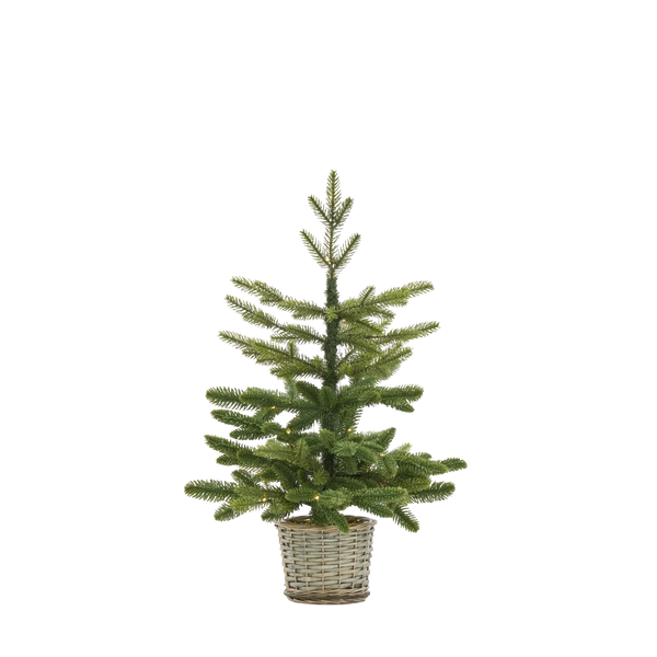 Normand Tabletop Pre-lit Christmas Tree, Medium