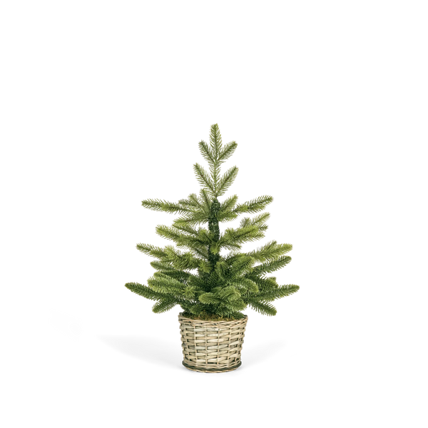Normand Tabletop Pre-lit Christmas Tree, Small