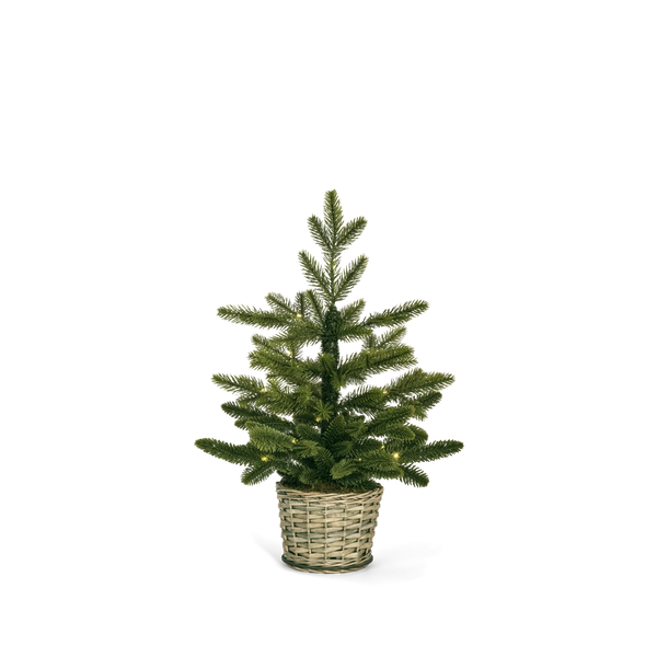 Normand Tabletop Pre-lit Christmas Tree, Small