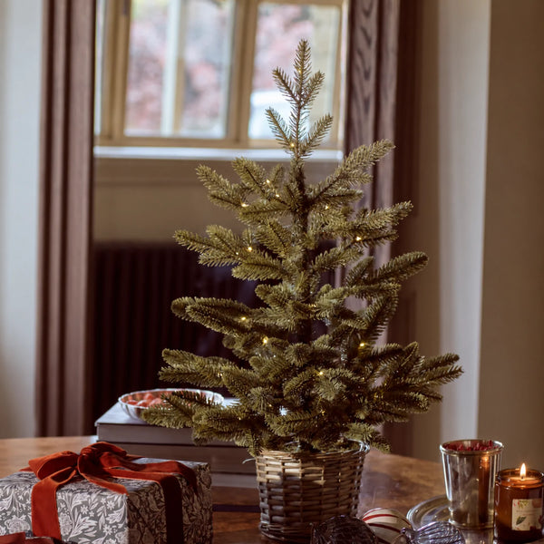 Normand Tabletop Pre-lit Christmas Tree, Medium