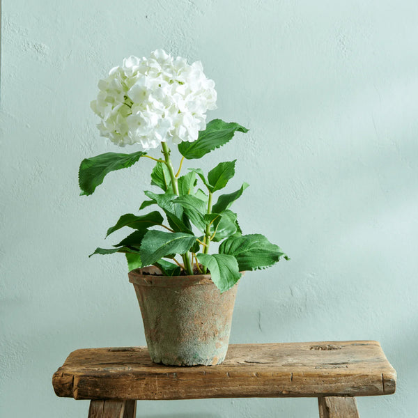 An artificial white hydrangea plant with green leaves in a rustic terracotta pot, displayed on a weathered wooden stool against a textured light blue wall.
