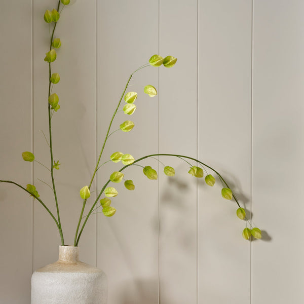 Neptune Flowers & Plants Physalis Spray, Green