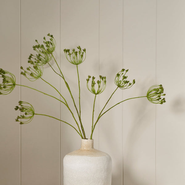 Neptune Flowers & Plants Queen Anne's Lace Stem, Green