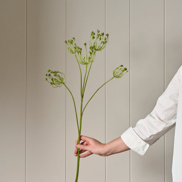 Neptune Flowers & Plants Queen Anne's Lace Stem, Green