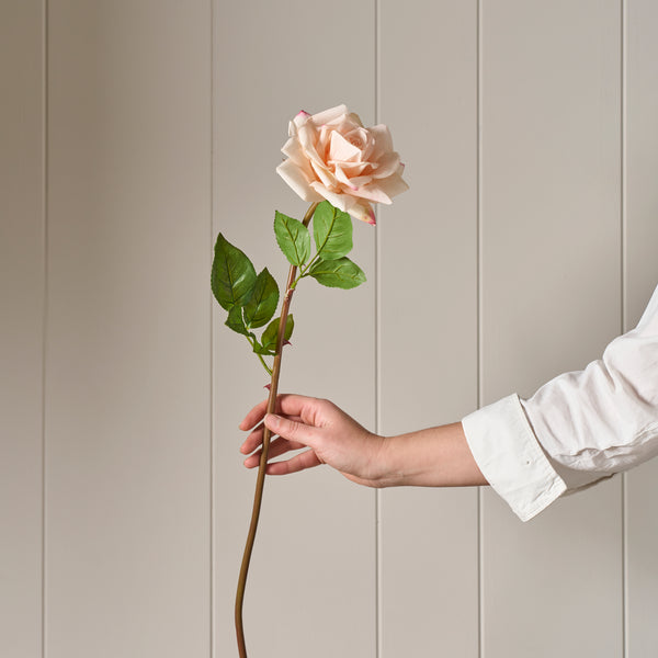 Neptune Flowers & Plants Rose Stem, Pink