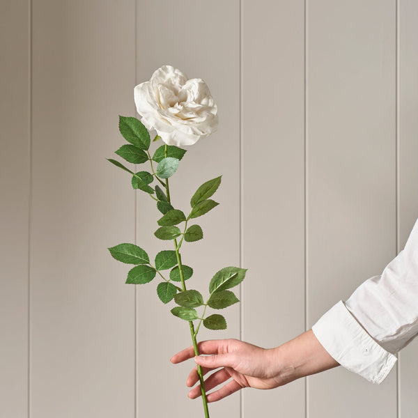 Neptune Flowers & Plants Rose Stem, White