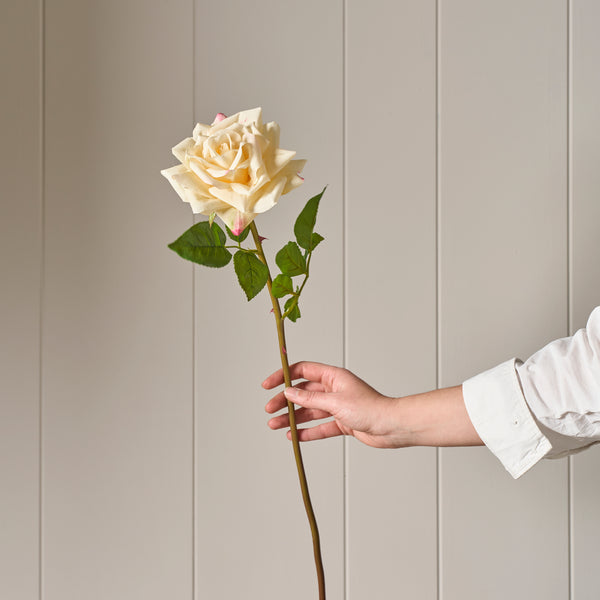 Neptune Flowers & Plants Rose Stem, Yellow