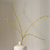 Neptune Flowers & Plants Spirarea Spray, Yellow