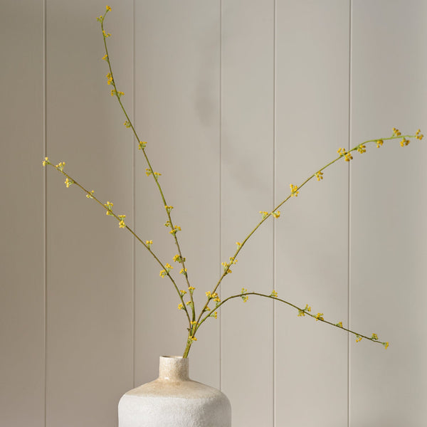 Neptune Flowers & Plants Spirarea Spray, Yellow