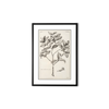 Neptune Wall art default Whitechapel, East Indian Strychnos 1