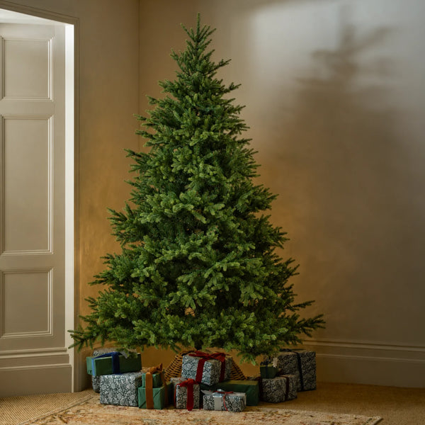Windsor 7ft Nordmann Fir Christmas Tree, No Lights