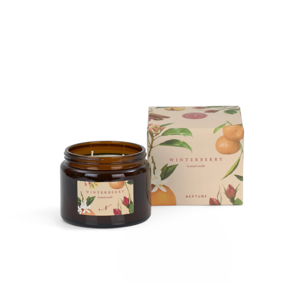 Winterberry Kerze mit 3 Dochten, Gewürzorange und rote Beeren