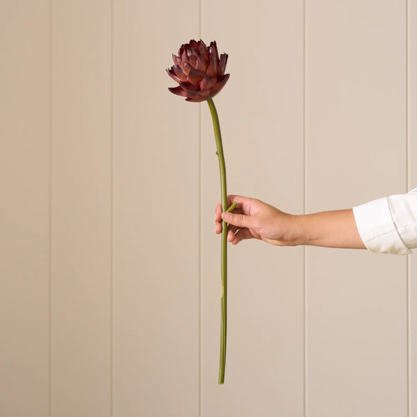 A single long-stemmed dark burgundy artichoke flower held by a person's hand against a beige paneled wall.