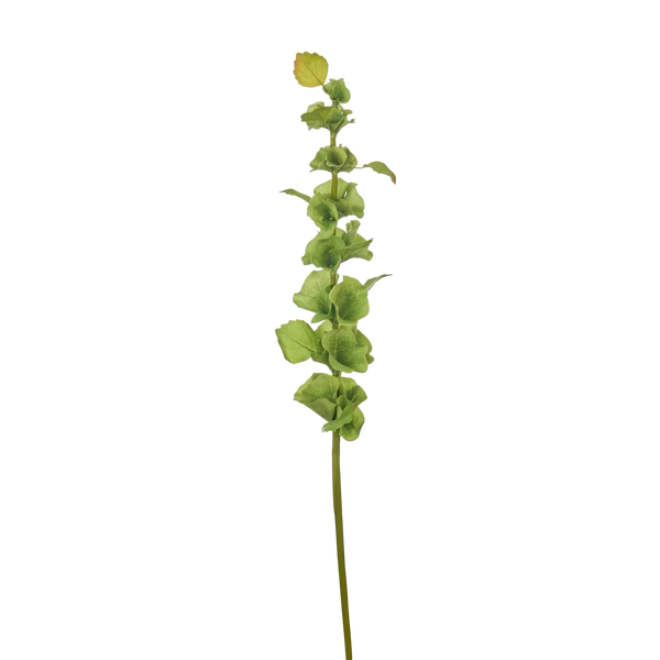 Neptune Accessories_Living accessories_Faux flowers & plants default Bells Stem, Green