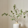 Neptune Accessories_Living accessories_Faux flowers & plants default Eucalyptus Spray, Green