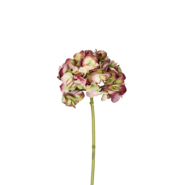 Hydrangea Stem, Green & Burgundy