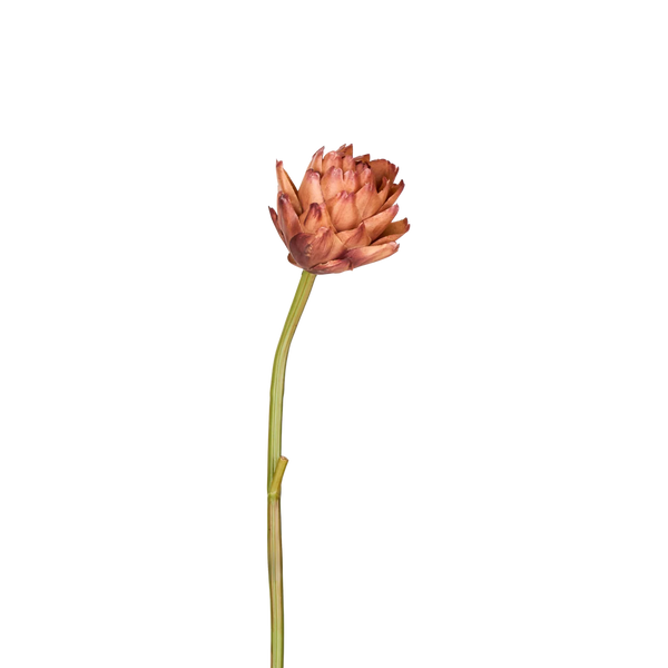 Artichoke Stem, Burnt Orange