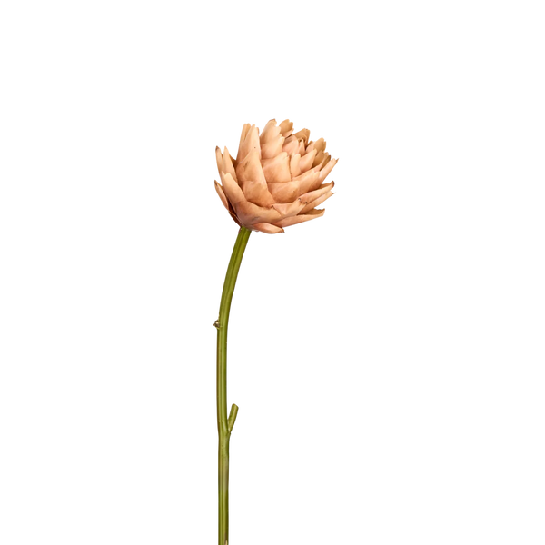 Artichoke Stem, Light Orange