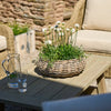 Neptune Outdoor pots & planters Default Littleton Wicker Round Basket