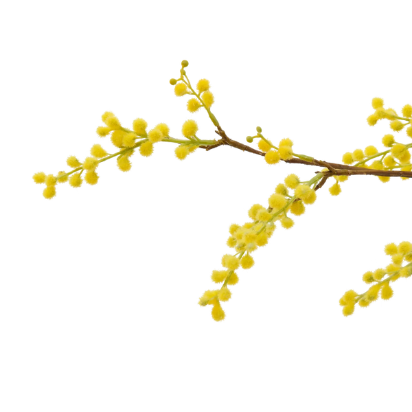 Neptune Accessories_Living accessories_Faux flowers & plants default Mimosa Spray, Yellow