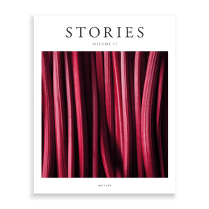 Stories Volume 17