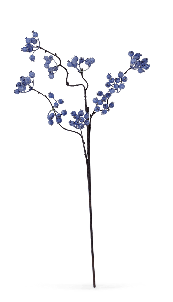 Neptune Flowers & Plants Berry Twig