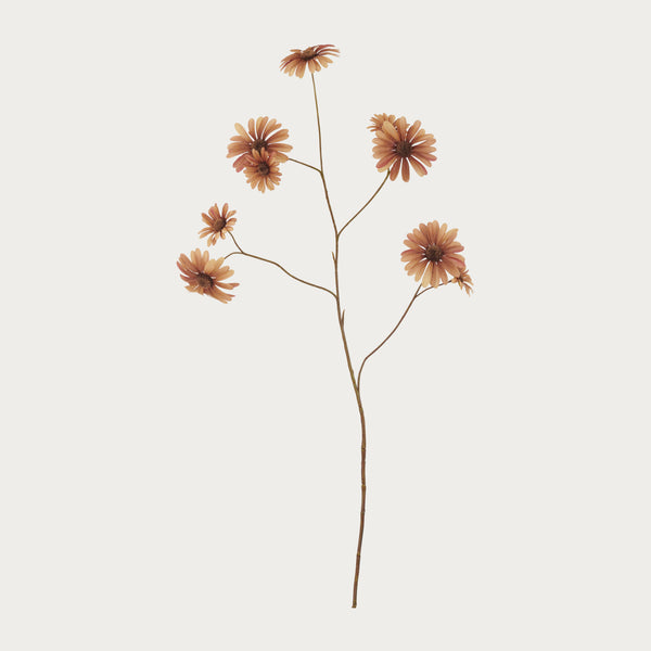 Neptune Flowers & Plants Daisy Spray