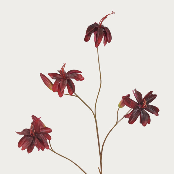 Neptune Flowers & Plants Default Lily Spray