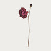 Neptune Flowers & Plants Default Peony Spray