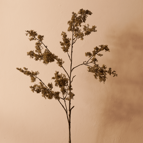 Neptune Flowers & Plants Moss Spray