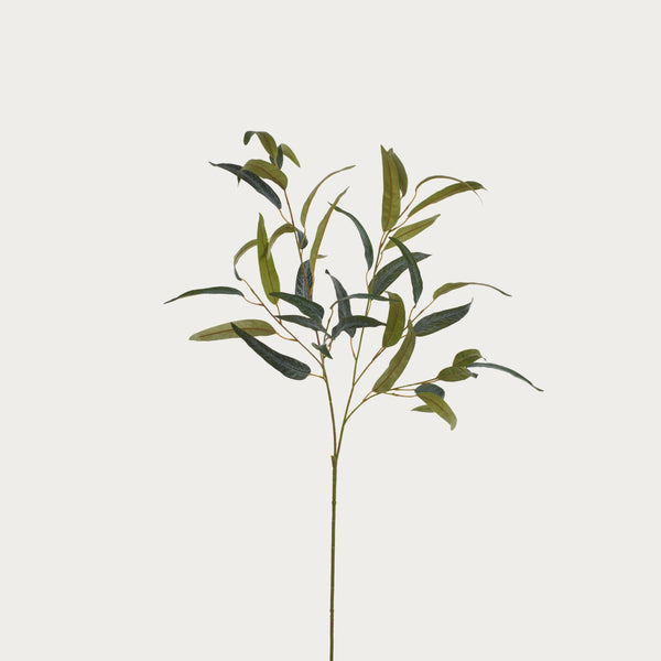 Neptune Flowers & Plants Olive Spray