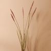 Neptune Flowers & Plants Wild Grass Stem