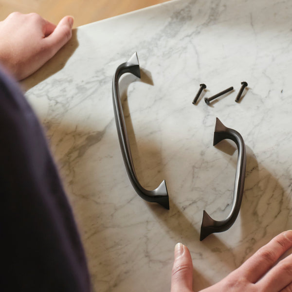 Neptune Handles & Hardware Warwick Large Handle, Set of 2