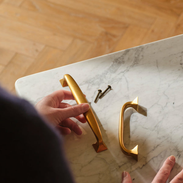 Neptune Handles & Hardware Warwick Large Handle, Set of 2