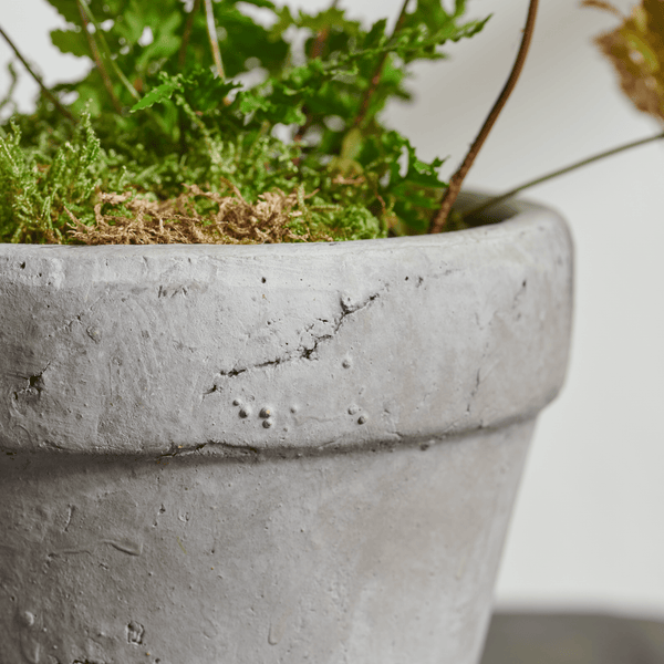 Neptune Pots & Planters Small Tarragon Terracotta Pot