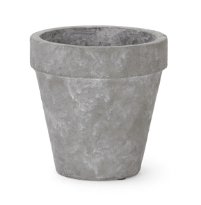 Tarragon Terracotta Pot