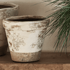 Neptune Pots & Planters Small Thyme Terracotta Pot