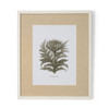 Neptune Wall Art Cinera Cum Flore Clipsham Botanical