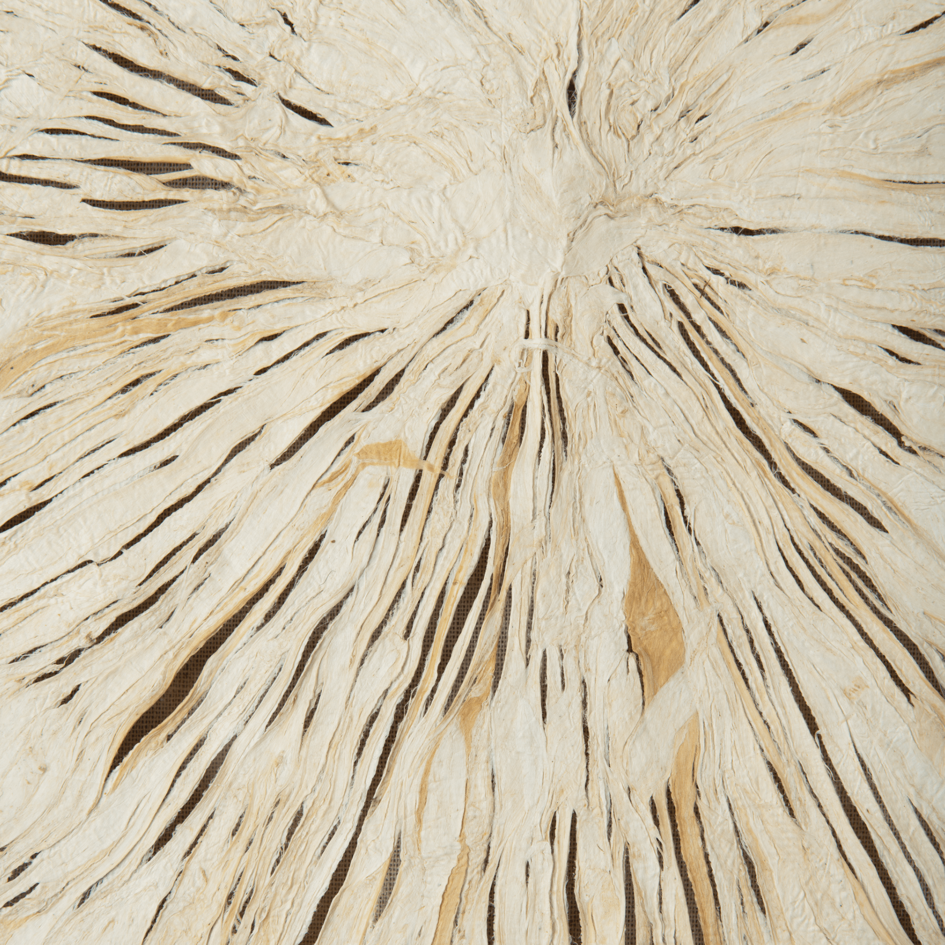 Neptune Wall Art Overton Square Paper Wall Art