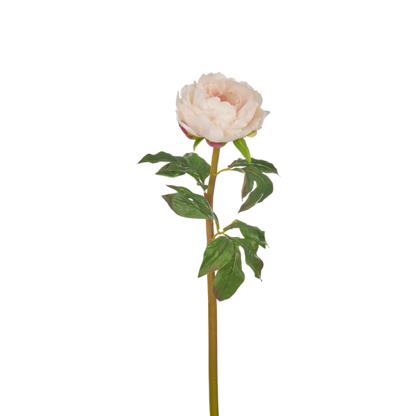 Neptune Accessories_Living accessories_Faux flowers & plants default Peony Stem, Soft Pink