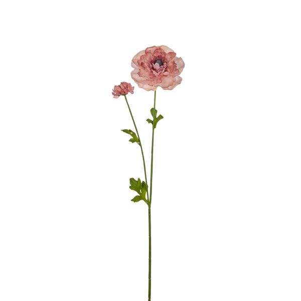 Neptune Accessories_Living accessories_Faux flowers & plants default Ranunculus Spray, Warm Pink